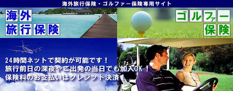 �A�N�A�ی��V�X�e���@�C�O���s�ی��E�S���t�@�[�ی��@�l�b�g�̔�